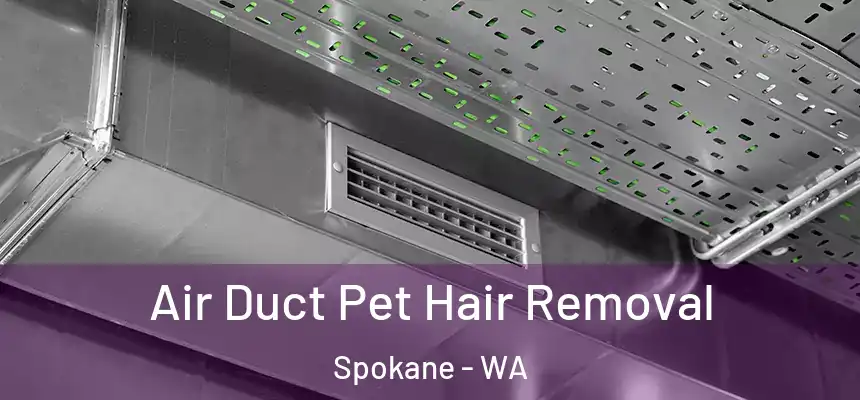 Air Duct Pet Hair Removal Spokane - WA