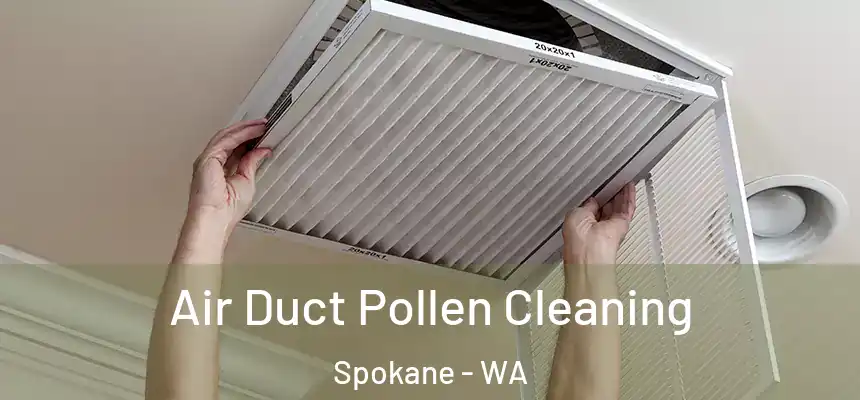 Air Duct Pollen Cleaning Spokane - WA