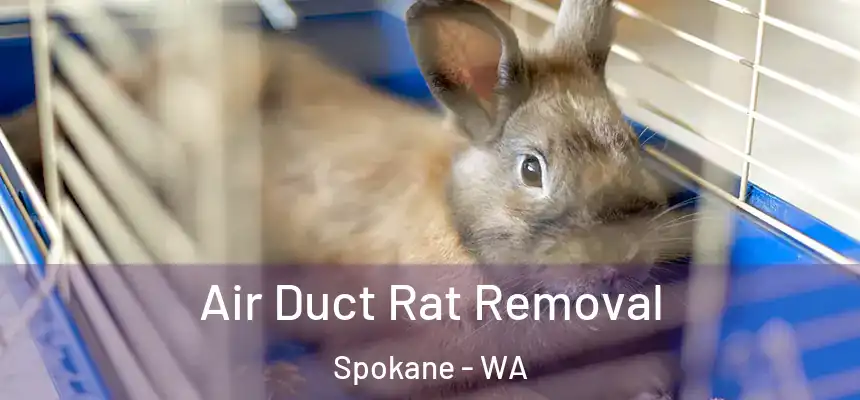 Air Duct Rat Removal Spokane - WA