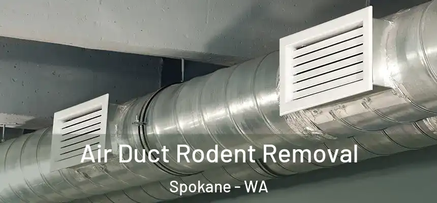 Air Duct Rodent Removal Spokane - WA