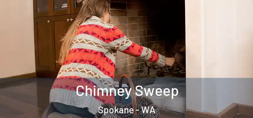 Chimney Sweep Spokane - WA