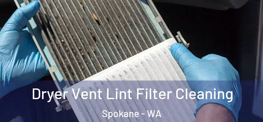 Dryer Vent Lint Filter Cleaning Spokane - WA