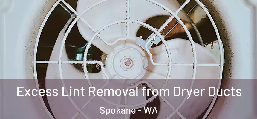 Excess Lint Removal from Dryer Ducts Spokane - WA