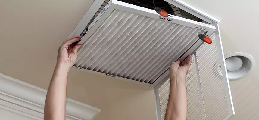 Preventive Cockroach-Proofing for Ducts in Spokane