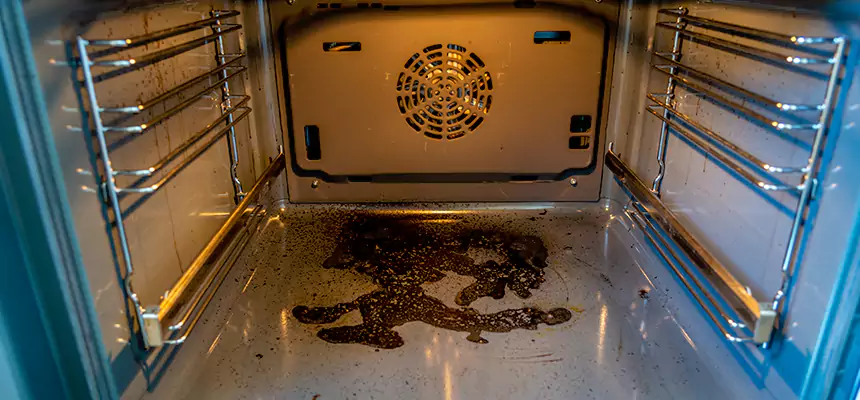 Our Dryer Vent Mold Cleaning Services in Spokane, WA