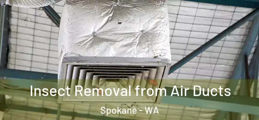 Insect Removal from Air Ducts Spokane - WA