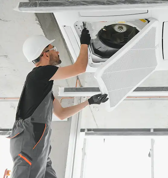 About Air Duct Rodent Removal in Spokane, WA