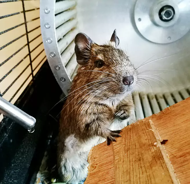 Why Homeowners & Businesses Trust Us Spokane, WA